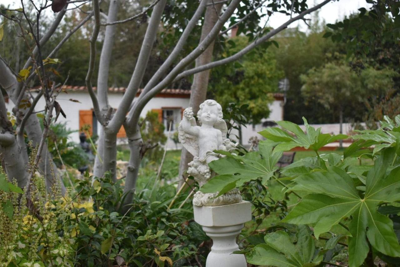 L'Oranger - Magnifique Studio Independant Sur Mougins Avec Jacuzzi Prive - Parking - Climatisation מראה חיצוני תמונה